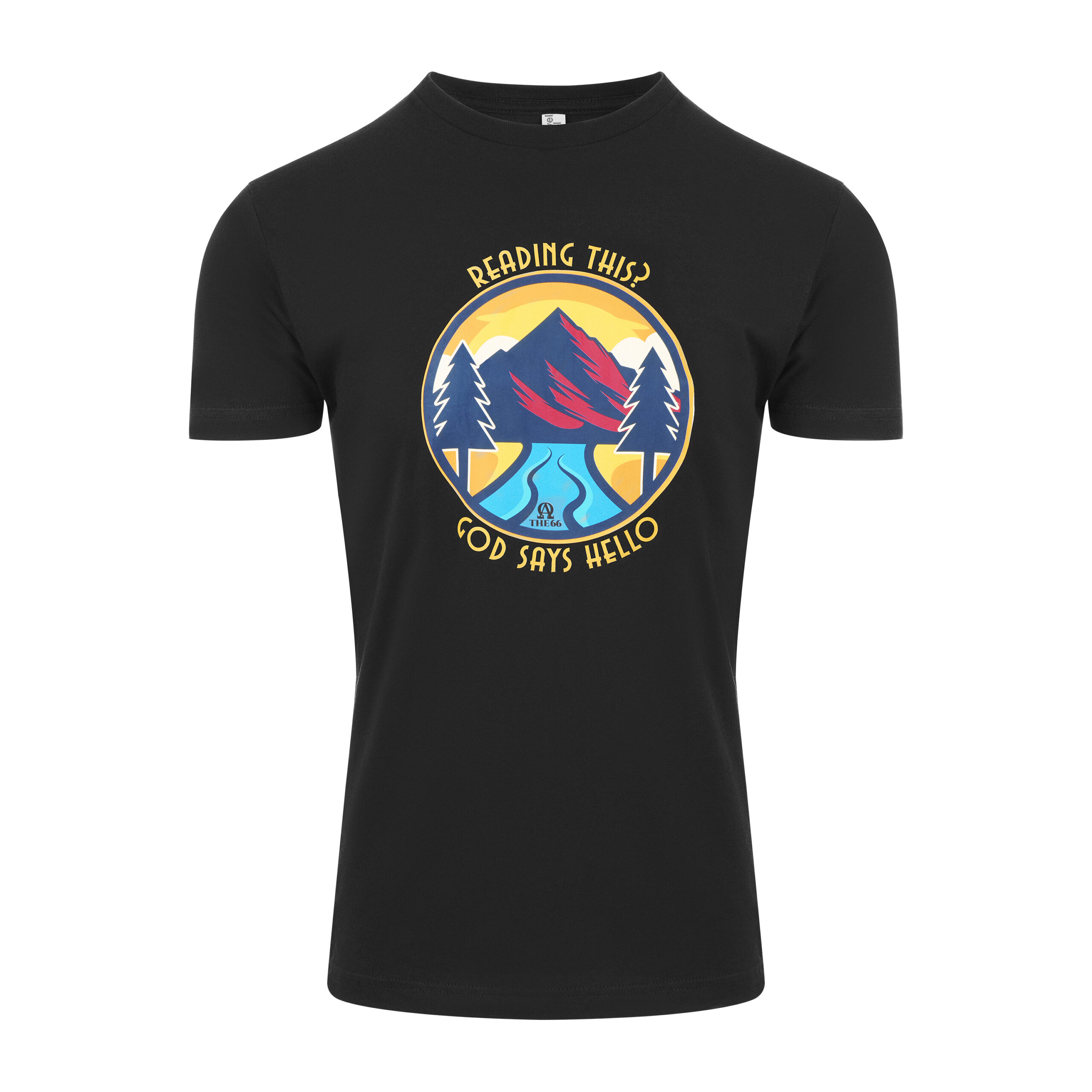 THE 66 - READING THIS